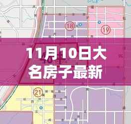 11月10日大名房子最新出售价格详解，查询步骤与房价动态掌握