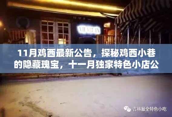 项目介绍 第652页