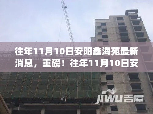 往年11月10日安阳鑫海苑最新消息全面解析重磅来袭!