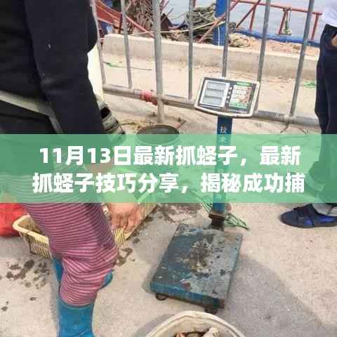 揭秘最新抓蛏子技巧,成功捕捞三大要点分享(日期更新至11月13日)