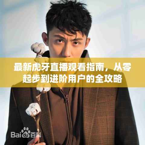 最新虎牙直播观看指南,从零起步到进阶用户的全攻略
