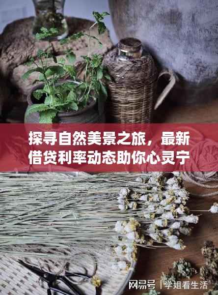 探寻自然美景之旅，最新借贷利率动态助你心灵宁静启程！