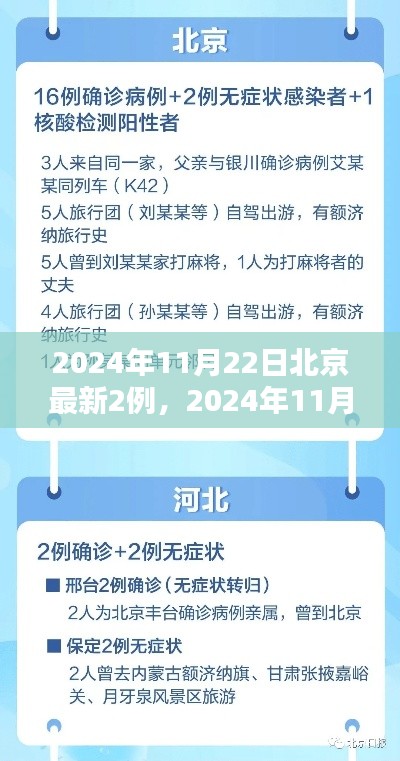 北京新增两例病例背后的最新报告,深度解析与关注(2024年11月22日)