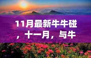 十一月与牛牛共舞,探寻自然美景的心灵之旅