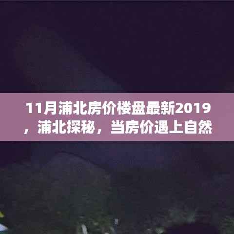 心灵之旅启程时，揭秘浦北房价楼盘最新动态与美景交融