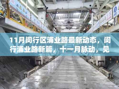 闵行浦业路11月最新动态,蜕变之路,见证十一月脉动新篇章