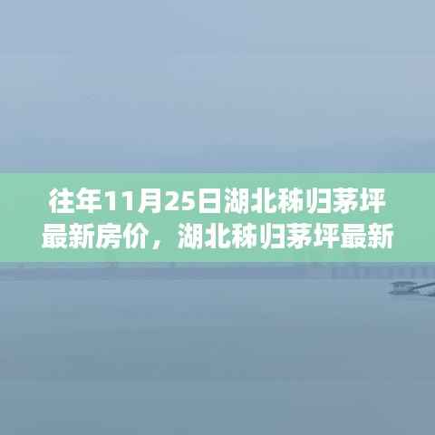 湖北秭归茅坪最新房价测评报告,深度剖析市场态势(往年11月25日)