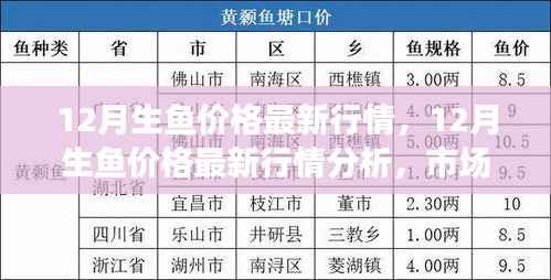 12月生鱼价格最新动态,市场走势分析与多方观点探讨