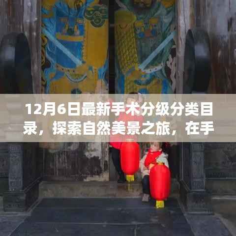 12月6日手术分级分类目录新探，自然美景之旅，探寻内心宁静的启程之路