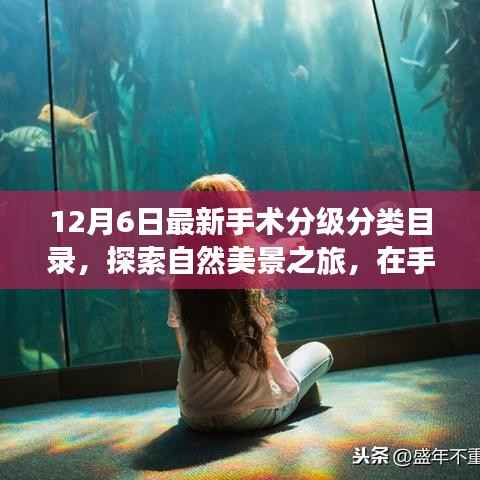 12月6日手术分级分类目录新探,自然美景之旅,探寻内心宁静的启程之路