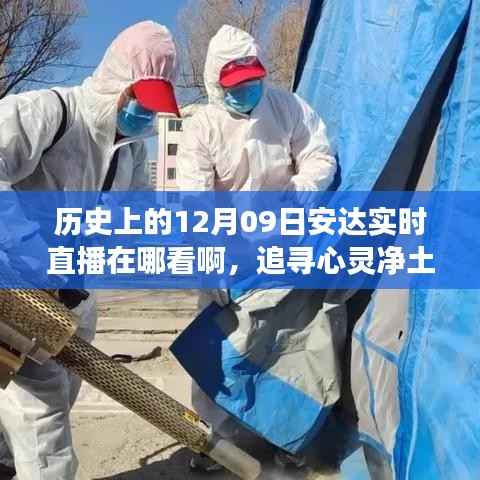 追寻心灵净土，安达直播之旅的自然魔法与历史探寻——历史上的安达直播回顾与实时观看指南