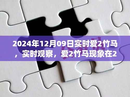 2024年12月9日深度解读,爱2竹马现象实时观察与解读