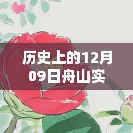 揭秘，历史上的舟山市动态地图最新消息及实时动态追踪（12月09日）