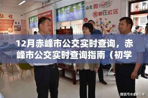 赤峰市公交实时查询指南，初学者到进阶用户的必备指南（12月版）