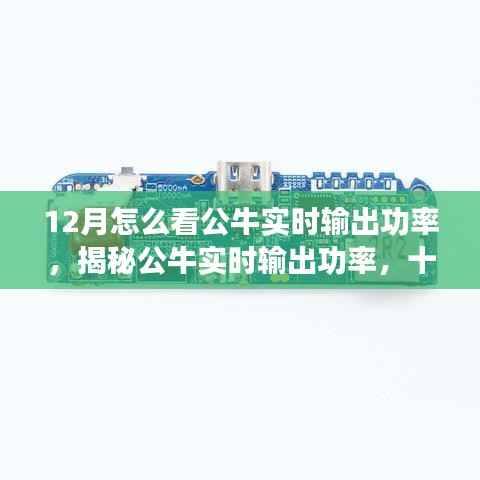 揭秘公牛实时输出功率，十二月观察指南助你洞悉公牛实时表现