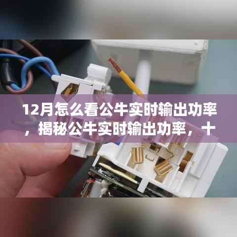 揭秘公牛实时输出功率,十二月观察指南助你洞悉公牛实时表现