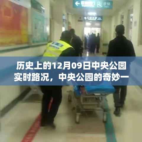 中央公园历史路况纪实，奇妙一天与温情故事回顾