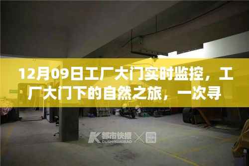 工厂大门下的自然之旅，寻找内心平静的奇妙探险与实时监控记录