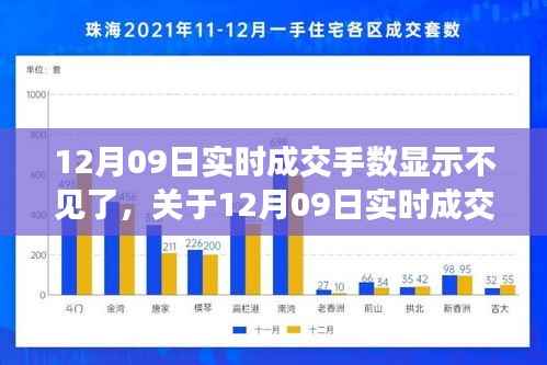 12月09日实时成交手数显示异常的技术分析与解决建议