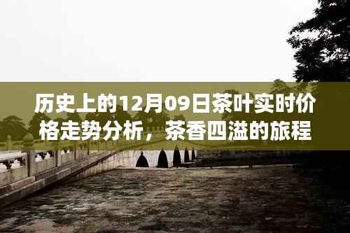 茶香四溢的心灵之旅,历史上的茶叶实时价格走势深度解析与启示