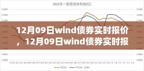 12月09日Wind债券实时报价深度解析,投资视角与观点碰撞