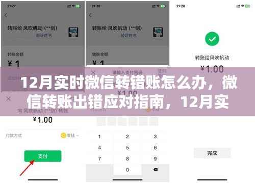 微信转账出错应对指南，12月实时操作策略与观点探讨