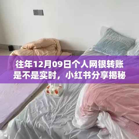 揭秘往年12月09日个人网银转账实时到账真相，小红书分享全解析！