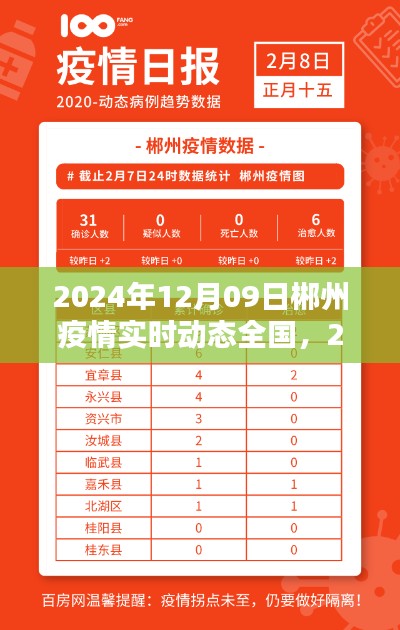 2024年郴州疫情实时动态全面解析与前沿关注