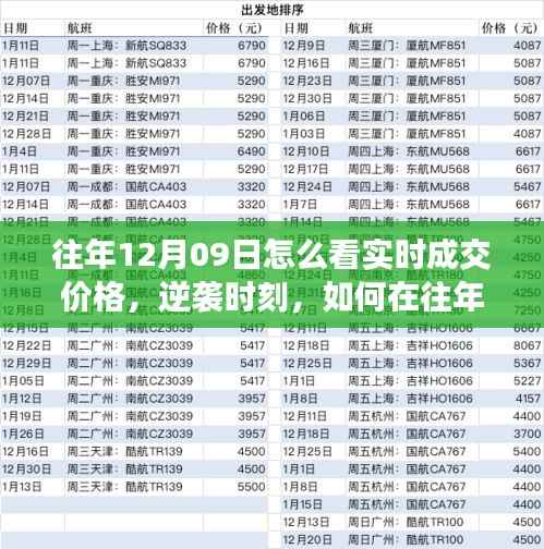 往年12月09日实时成交价格洞察，逆袭时刻的智慧火花捕捉指南