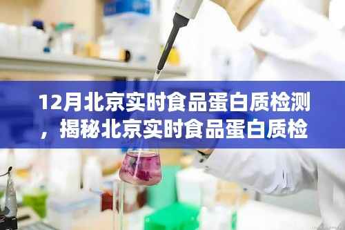 项目介绍 第361页