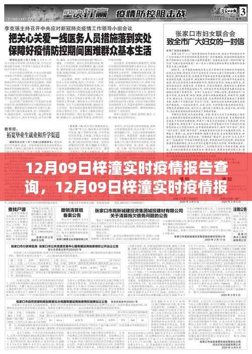 12月09日梓潼实时疫情报告查询，步骤指南与最新信息