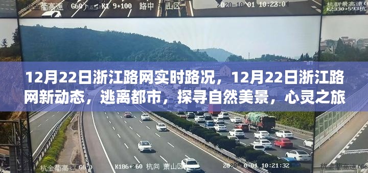 浙江路网实时路况更新，心灵之旅启程，探寻自然美景新动态