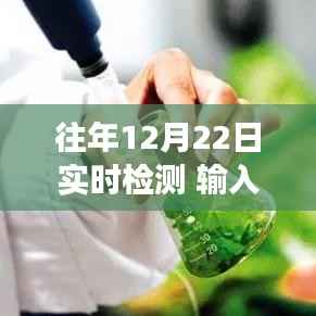 12月22日手机号实时检测,回顾发展历程与探讨深远影响