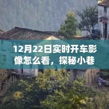 探秘实时开车影像，揭秘12月22日小巷深处的驾驶秘境之旅
