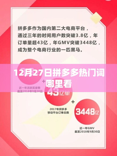 拼多多热门词查看指南，12月27日哪里看最热门？
