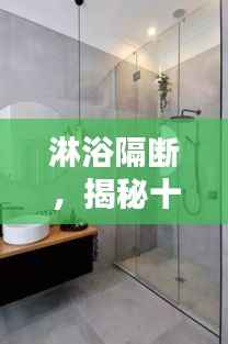 淋浴隔断选购指南，十二月热门产品推荐揭秘