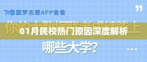 深度解读,一月份民校热门背后的原因