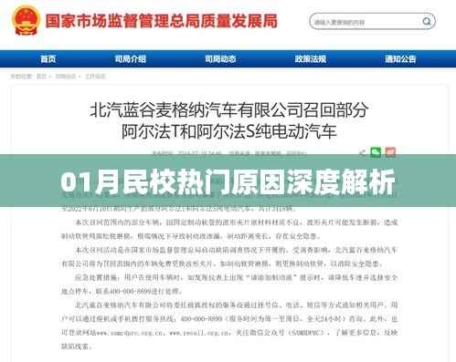 深度解读,一月份民校热门背后的原因