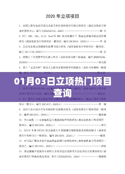最新立项热门项目查询指南