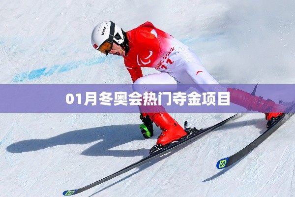 冬奥会热门夺金项目解析