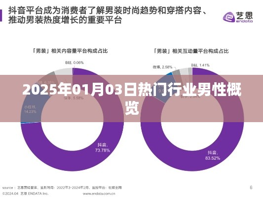 热门行业男性概览(2025年1月3日)