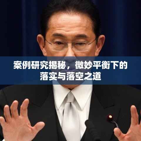案例研究揭秘,微妙平衡下的落实与落空之道