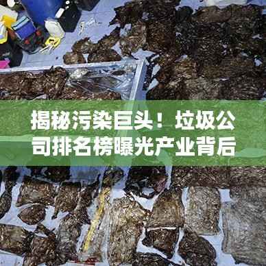 揭秘污染巨头!垃圾公司排名榜曝光产业背后的秘密