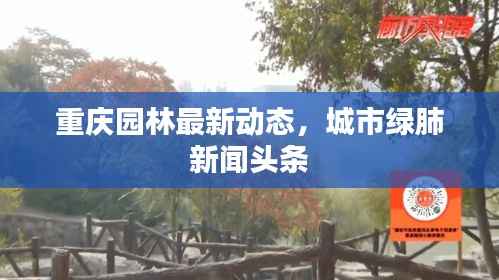 重庆园林最新动态，城市绿肺新闻头条