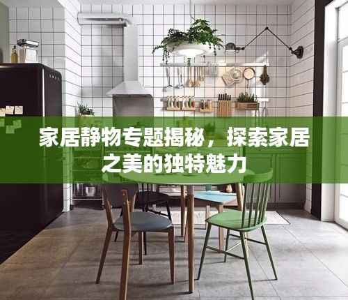 家居静物专题揭秘,探索家居之美的独特魅力