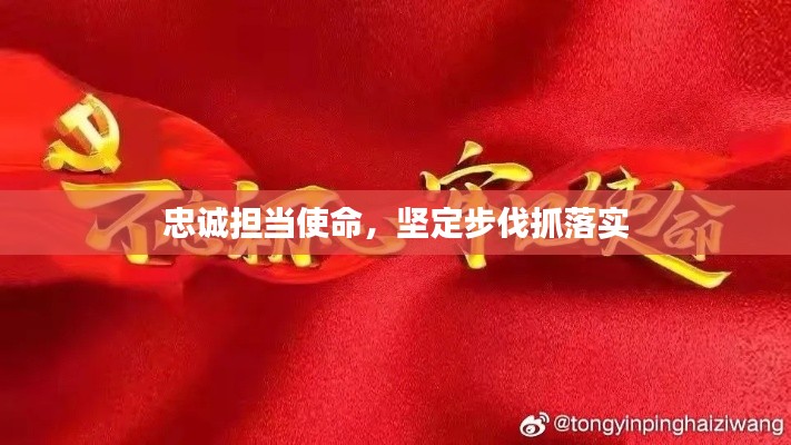 忠诚担当使命，坚定步伐抓落实