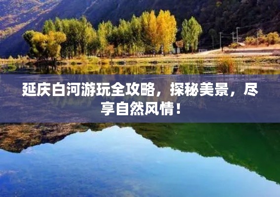 延庆白河游玩全攻略,探秘美景,尽享自然风情!