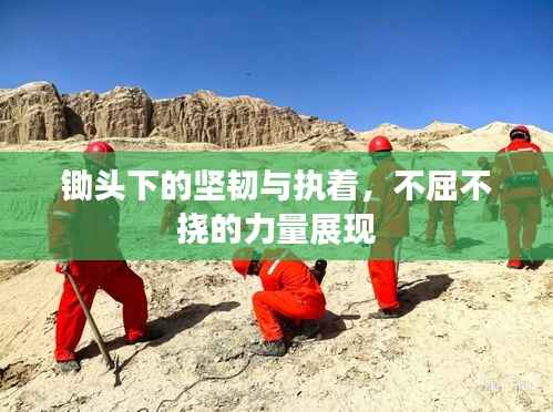 锄头下的坚韧与执着,不屈不挠的力量展现