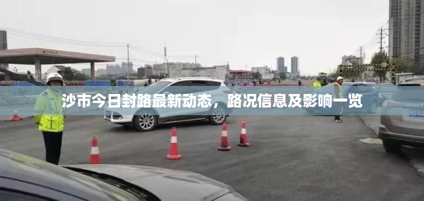 项目介绍 第177页