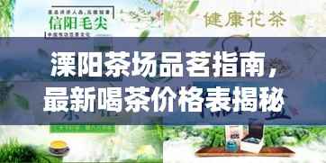 溧阳茶场品茗指南,最新喝茶价格表揭秘